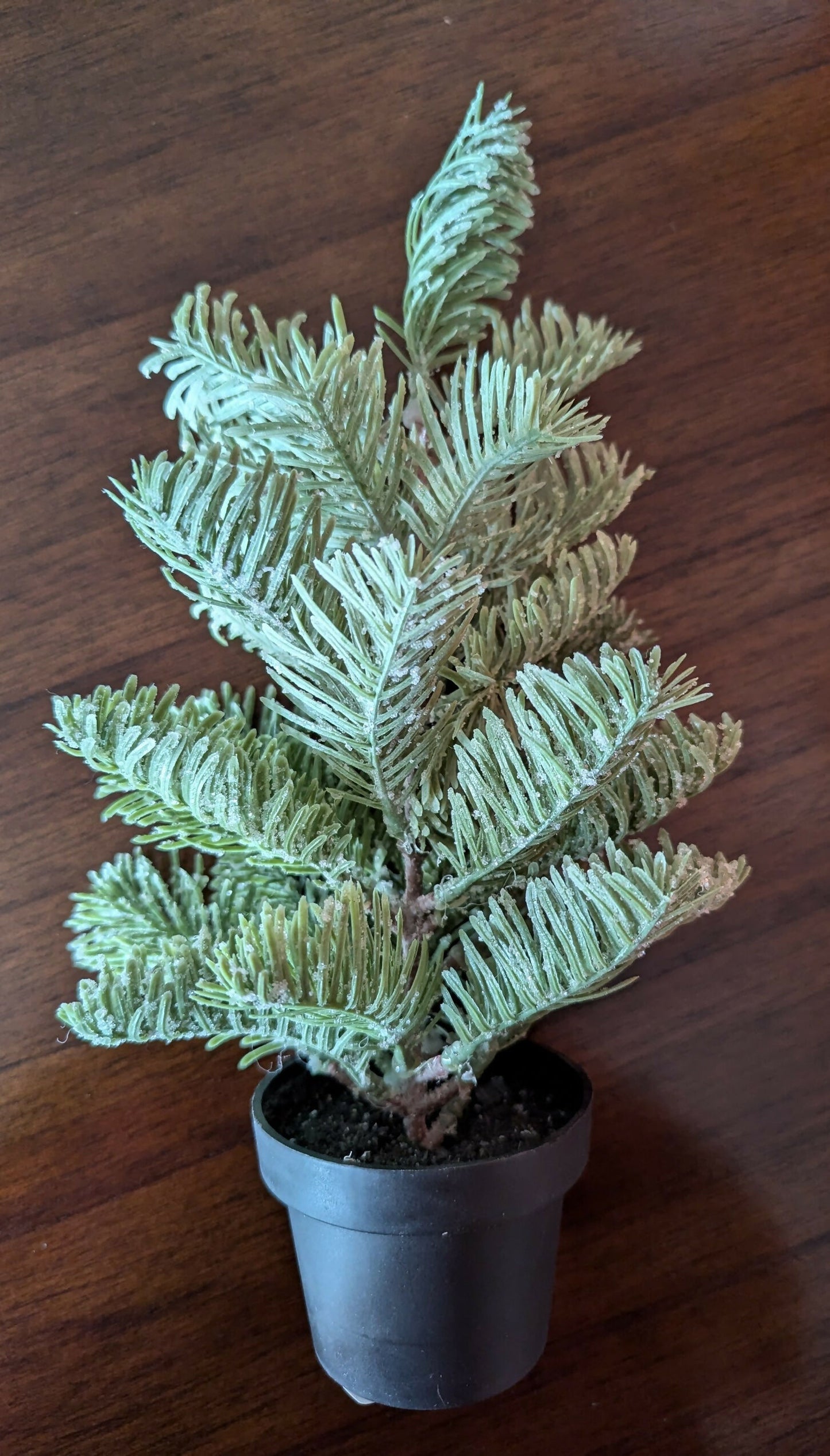12in tree 12.99 3