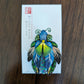 Wanda Shum Handcrafted Polymer Clay Brooch-Butterfly, Insect & Dragonfly, Assorted