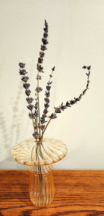 Mushroom Bud Vase Arrangement