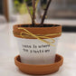 Puny Pots