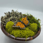 Moss Art Bowls - Acacia Wood Bowls