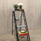 Antique Ladder, shelf, plant stand