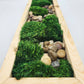 Moss Art 17" x 5.5"