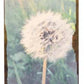 Cedar Mountain Timber Art Handcrafted Wall Decor