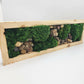 Moss Art 17" x 5.5"