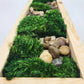 Moss Art 17" x 5.5"