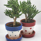 Medium Flower Pot