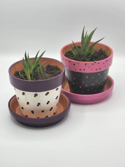 Small Flower Pot with Flower