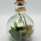 Potion Bottle