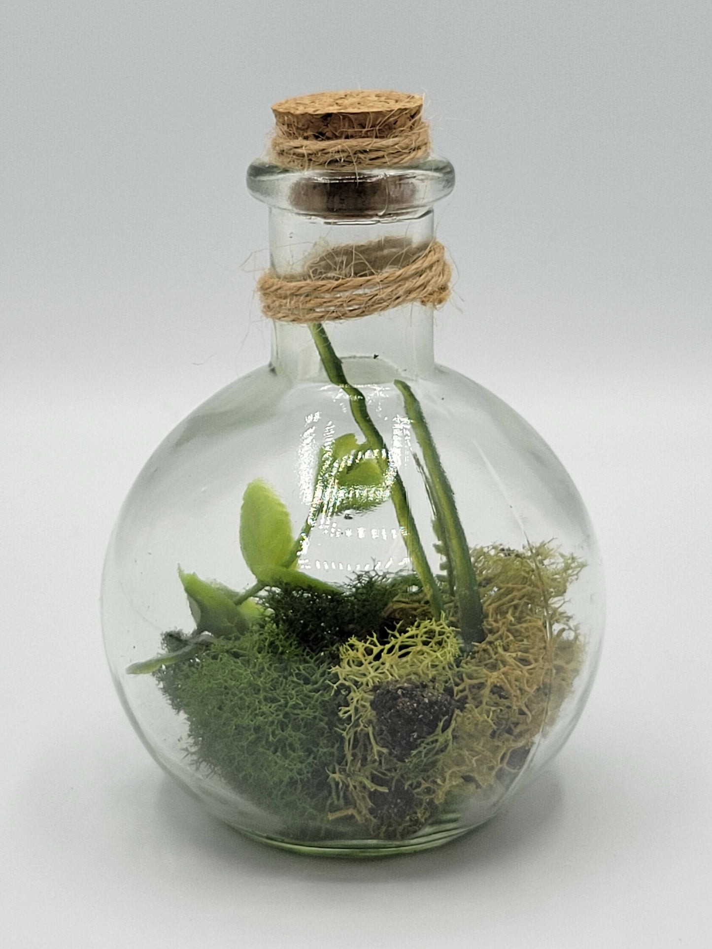 Potion Bottle