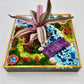 Miniature Enchanted Garden DIY Kit - Large
