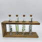 Propagation Station