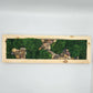 Moss Art 17" x 5.5"