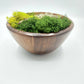 Moss Art Bowls - Acacia Wood Bowls