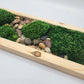 Moss Art 17" x 5.5"