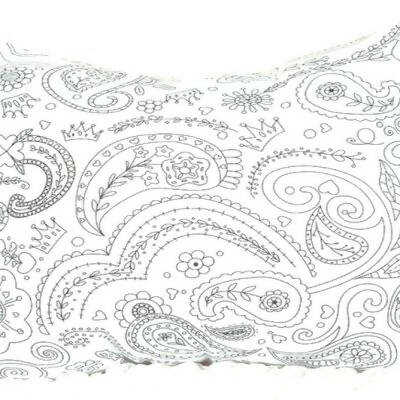 Paisley Colour Me Cushion