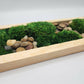 Moss Art 17" x 5.5"