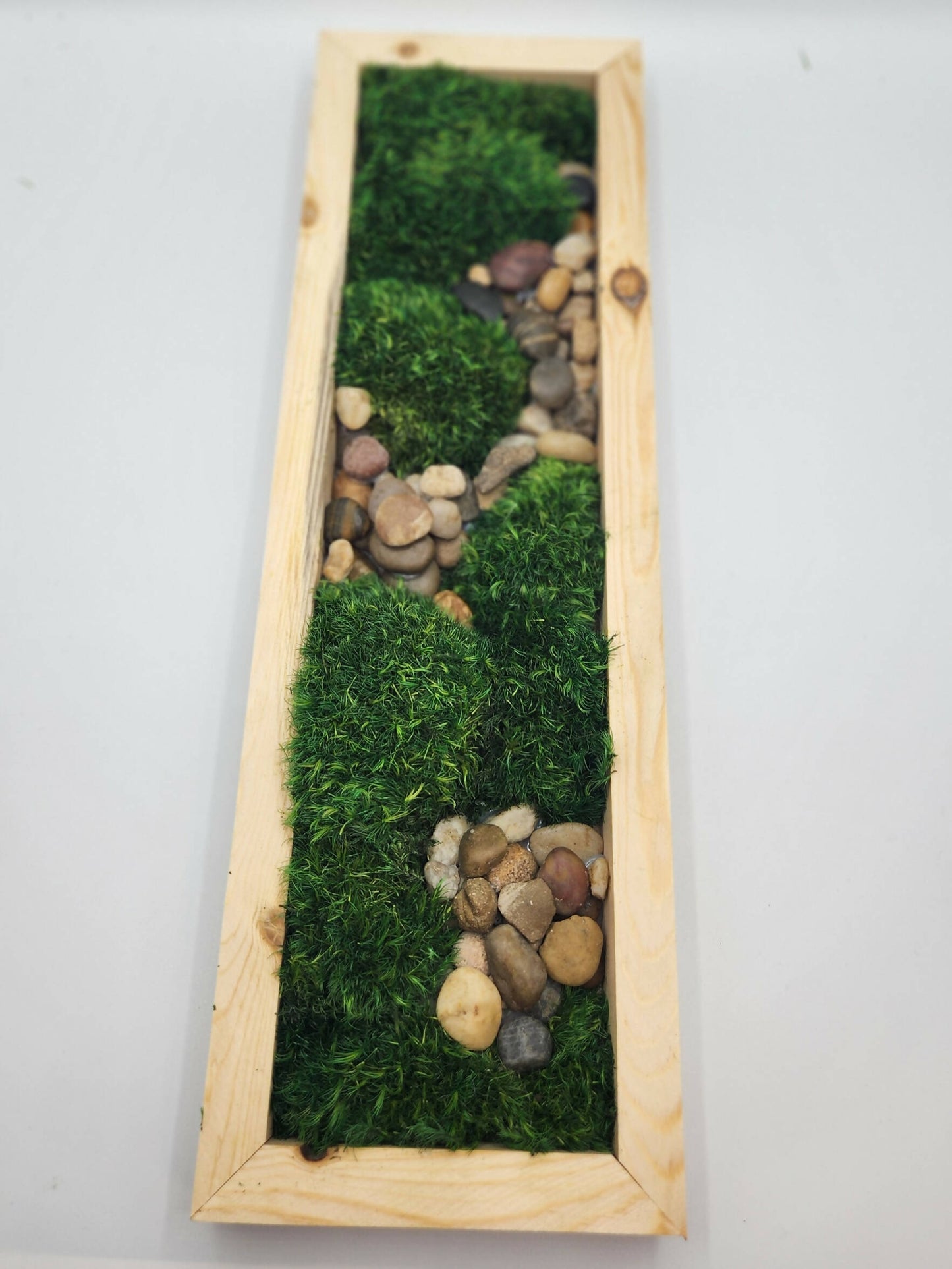 Moss Art 17" x 5.5"