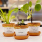 Puny Pots