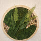 Moss Art 16.5" x 16.5"