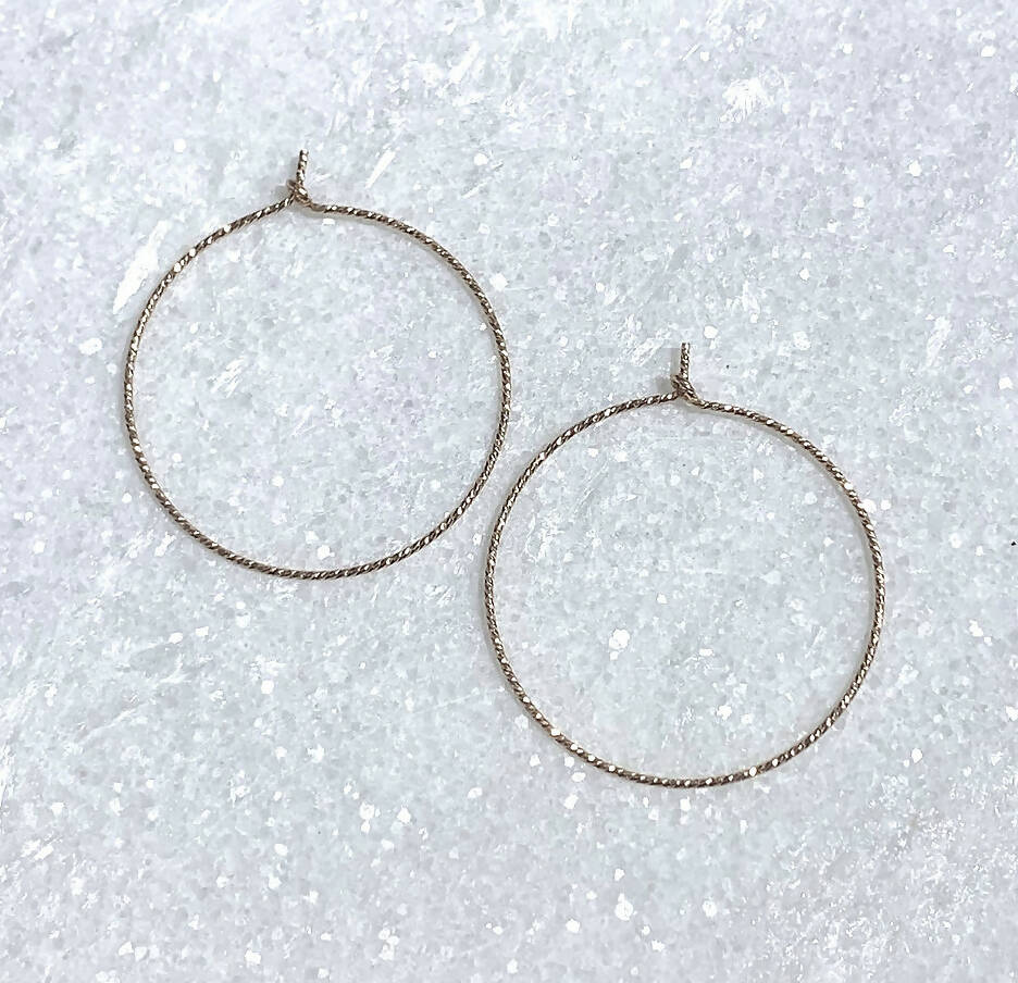 RG Sparkle Hoop Earrings E089-RG