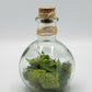 Potion Bottle